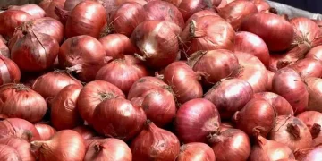 চার-পাঁচ দিনের মধ্যে পেঁয়াজের দাম না কমলে আমদানির অনুমোদন : বাণিজ্য উপদেষ্টা