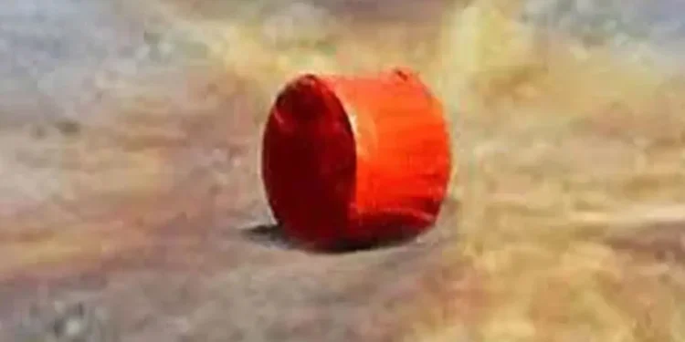 উপদেষ্টা সৈয়দা রিজওয়ানা হাসানের বাসার সামনে ককটেল বিস্ফোরণ